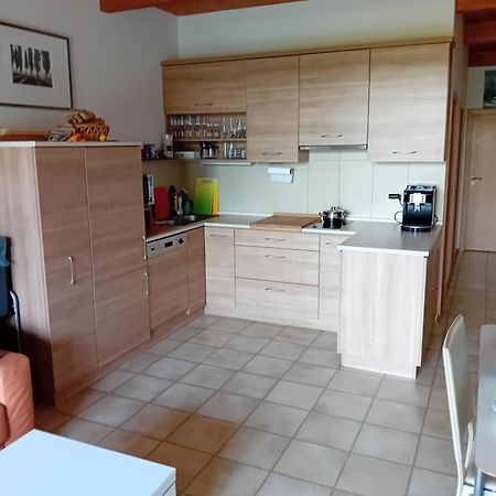 ליפנו נאד וויטאבו Apartman Lipno A12 מראה חיצוני תמונה