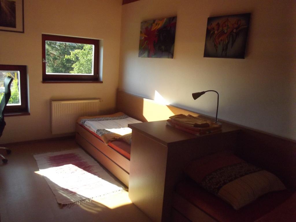 ליפנו נאד וויטאבו Apartman Lipno A12 מראה חיצוני תמונה